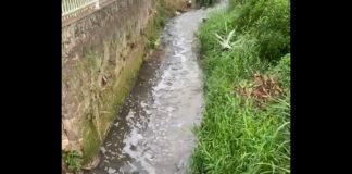 Ribeirão