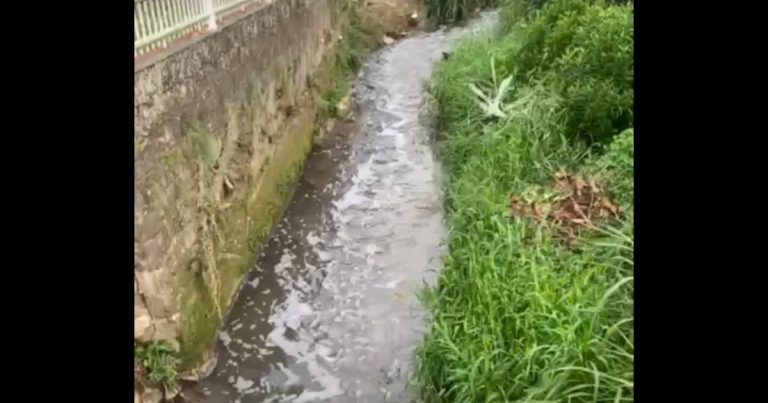 Ribeirão