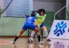 Barateiro Stein Cascavel LFF