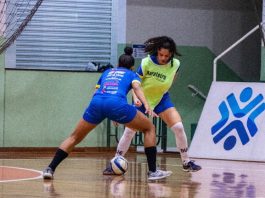 Barateiro Stein Cascavel LFF