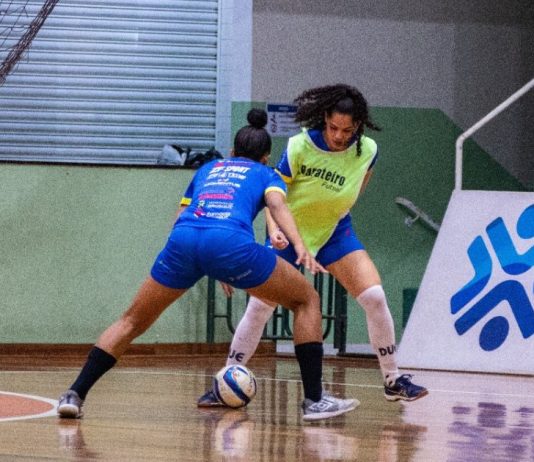 Barateiro Stein Cascavel LFF