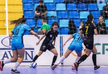 Barateiro Havan Futsal Brusque Tubarão