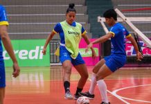 Barateiro Havan Futsal LFF Apcef