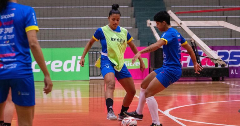 Barateiro Havan Futsal LFF Apcef