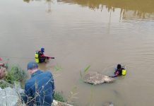 rio Itajaí-Mirim