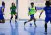 Barateiro Brusque futsal LFF