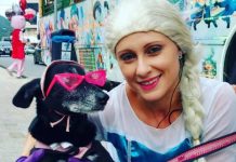 Frozen de Itapema