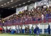 Brusque média público torcida Série C