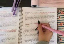 Universidade Gratuita