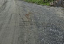 Botuverá