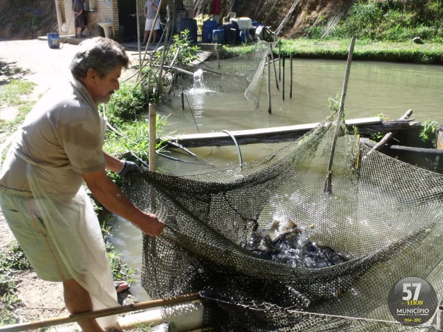 Comércio de peixes